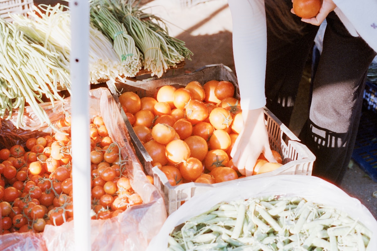 Курс онлайн-навчання з нутриції